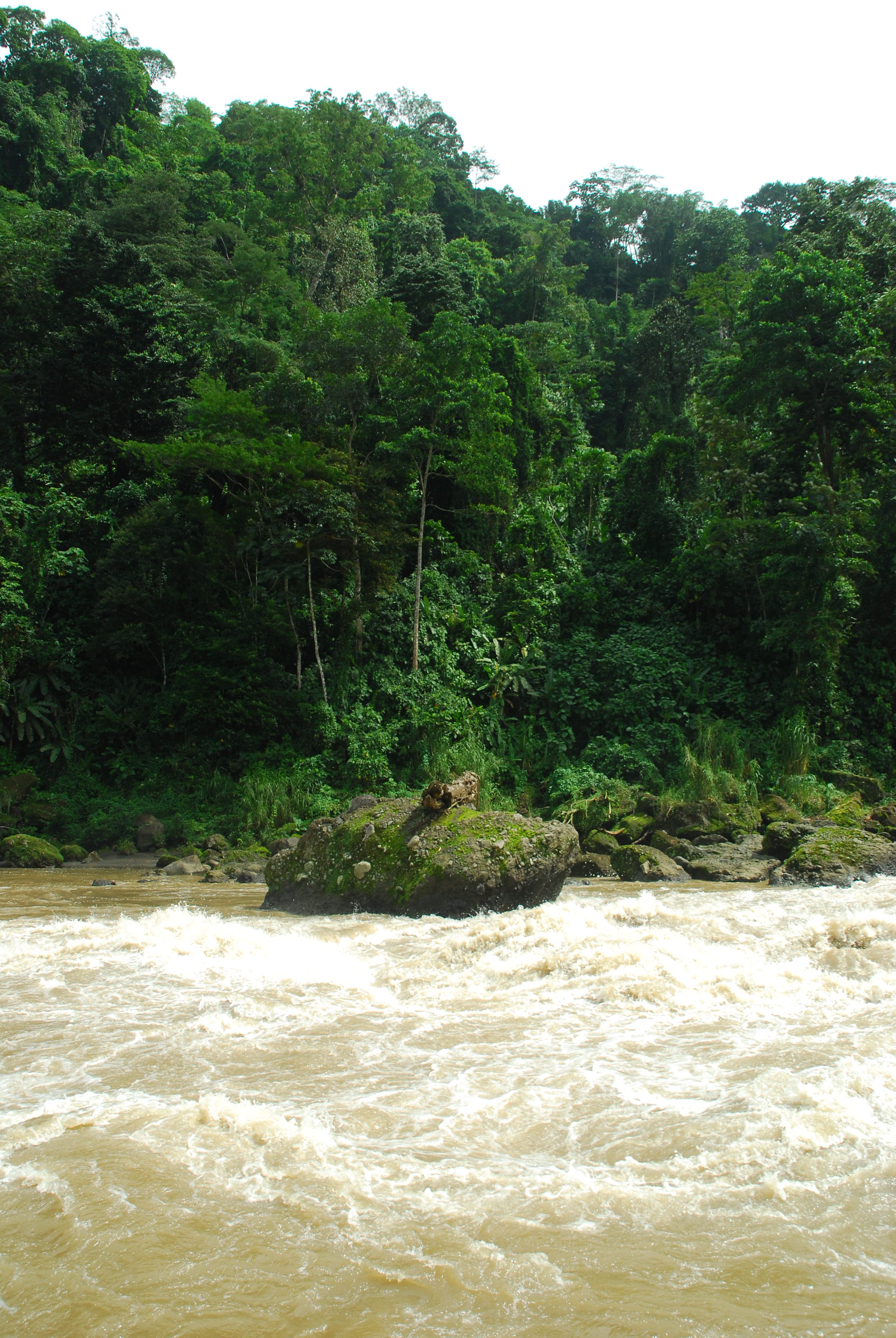 Foundation Base in Costa Rica preview