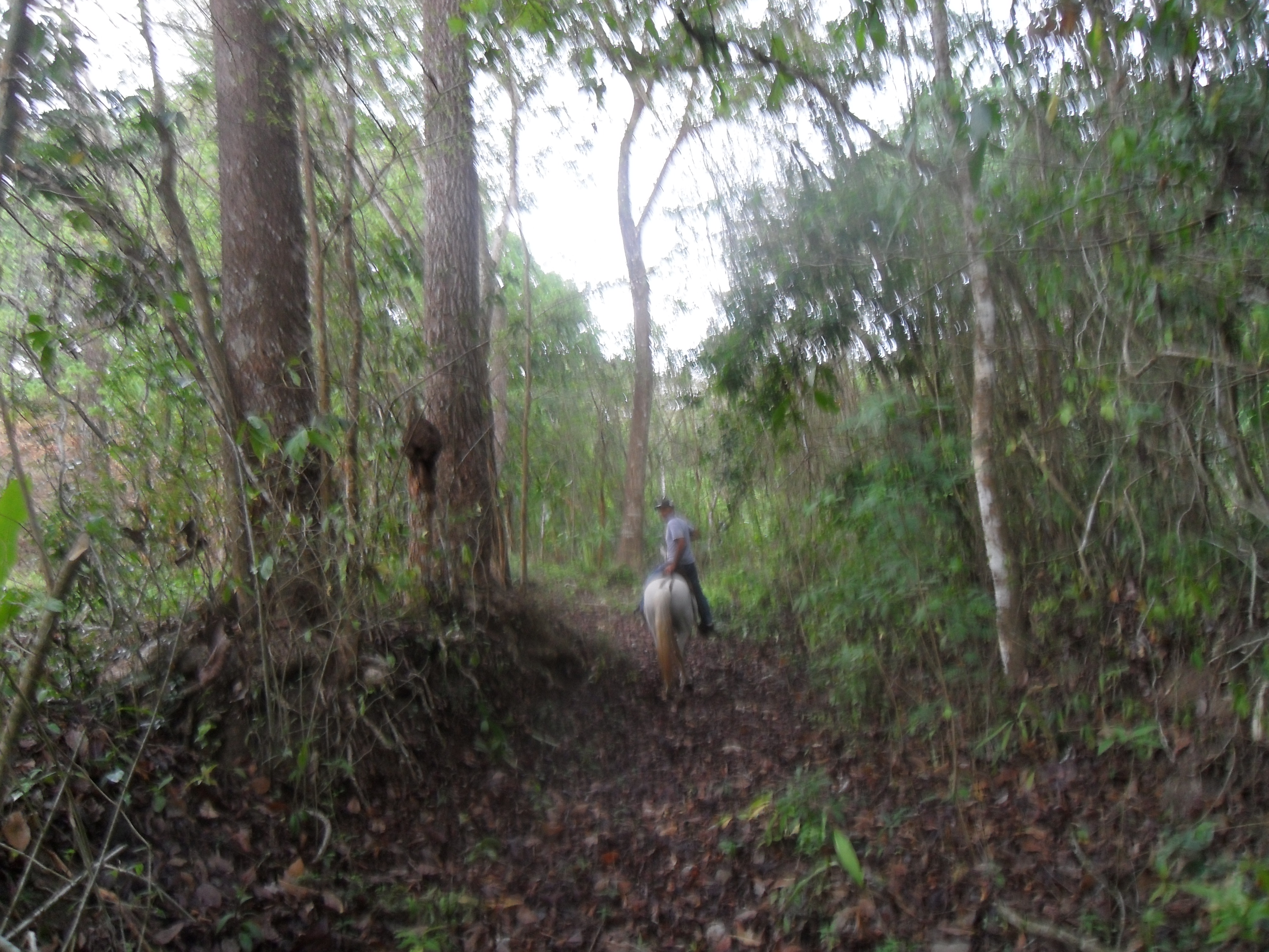 Huella del Futuro Partnership Initiative preview