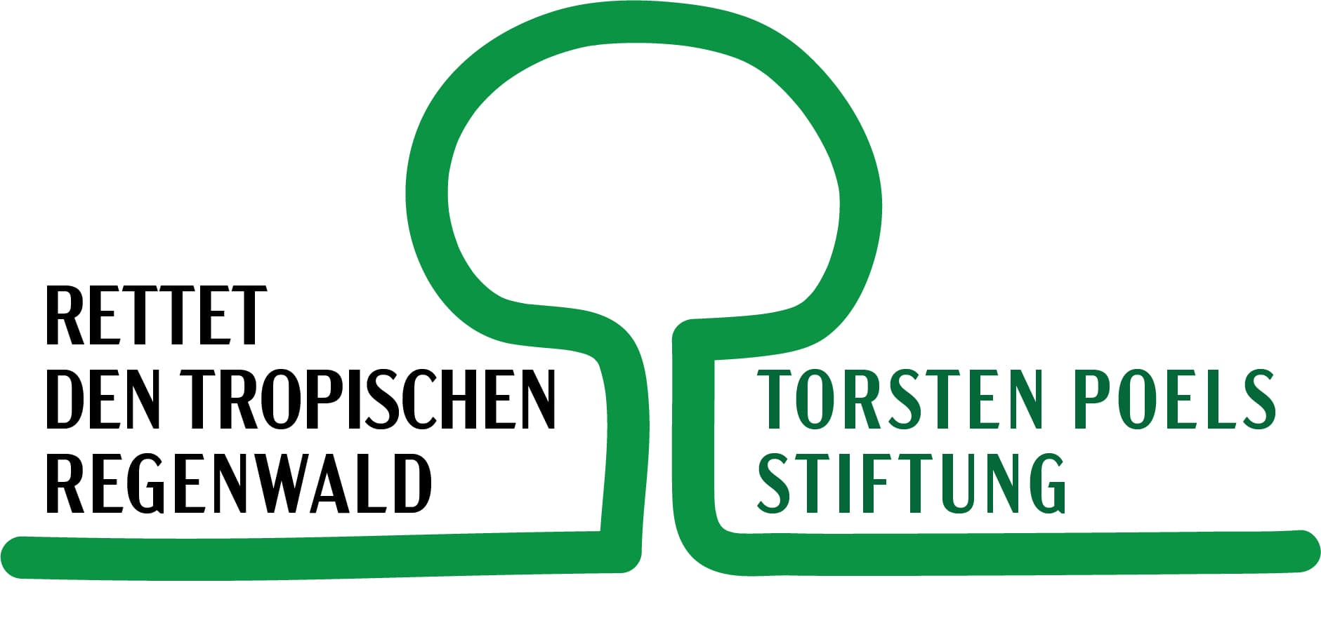 Regenwald Stiftung Logo
