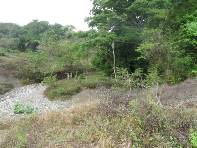 Wildlife return documentation